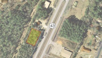 Mount Vernon, AL Commercial Land - U.S. Highway 43