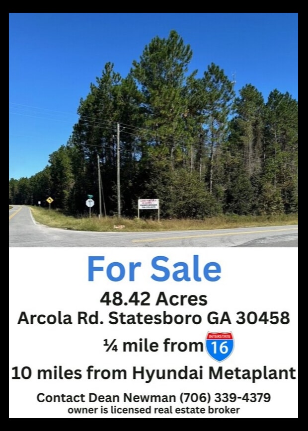 Arcola Road Rd @ GA HWY 46, Statesboro, GA for Sale
