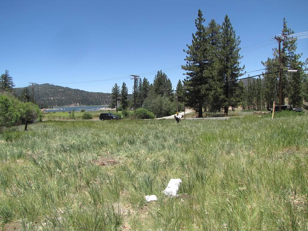 Hwy 18 Hwy @ Tulip Ln, Big Bear Lake, CA for Sale