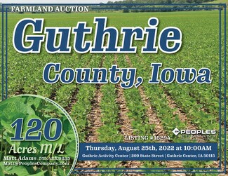 250th Lane / Pecan Ave