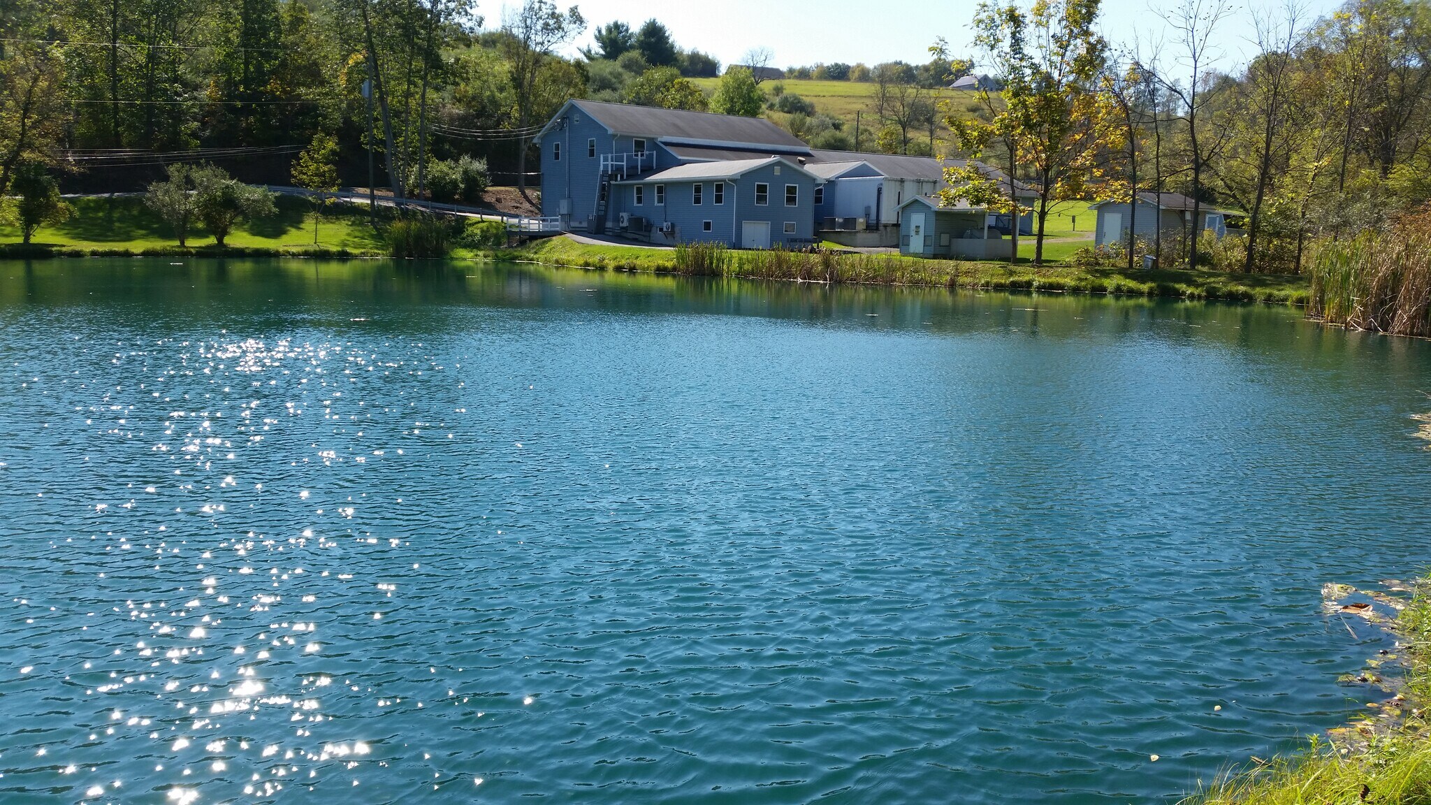 1095 Upper Georges Valley Rd, Spring Mills, PA for Rent