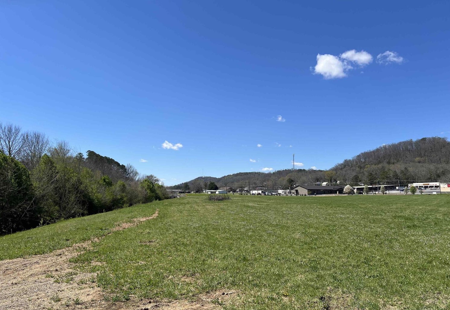 0 2nd Ave, Oneonta, AL for Sale