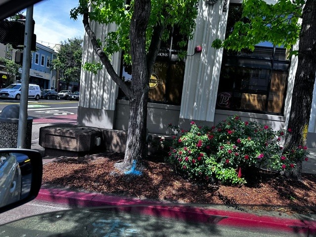 1300 4th St, San Rafael, CA for Sale