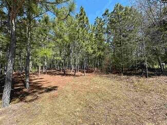 Gaston, SC Residential Land - 223 Mimosa Dr Gaston, SC Residential Land - 223 Mimosa Dr
