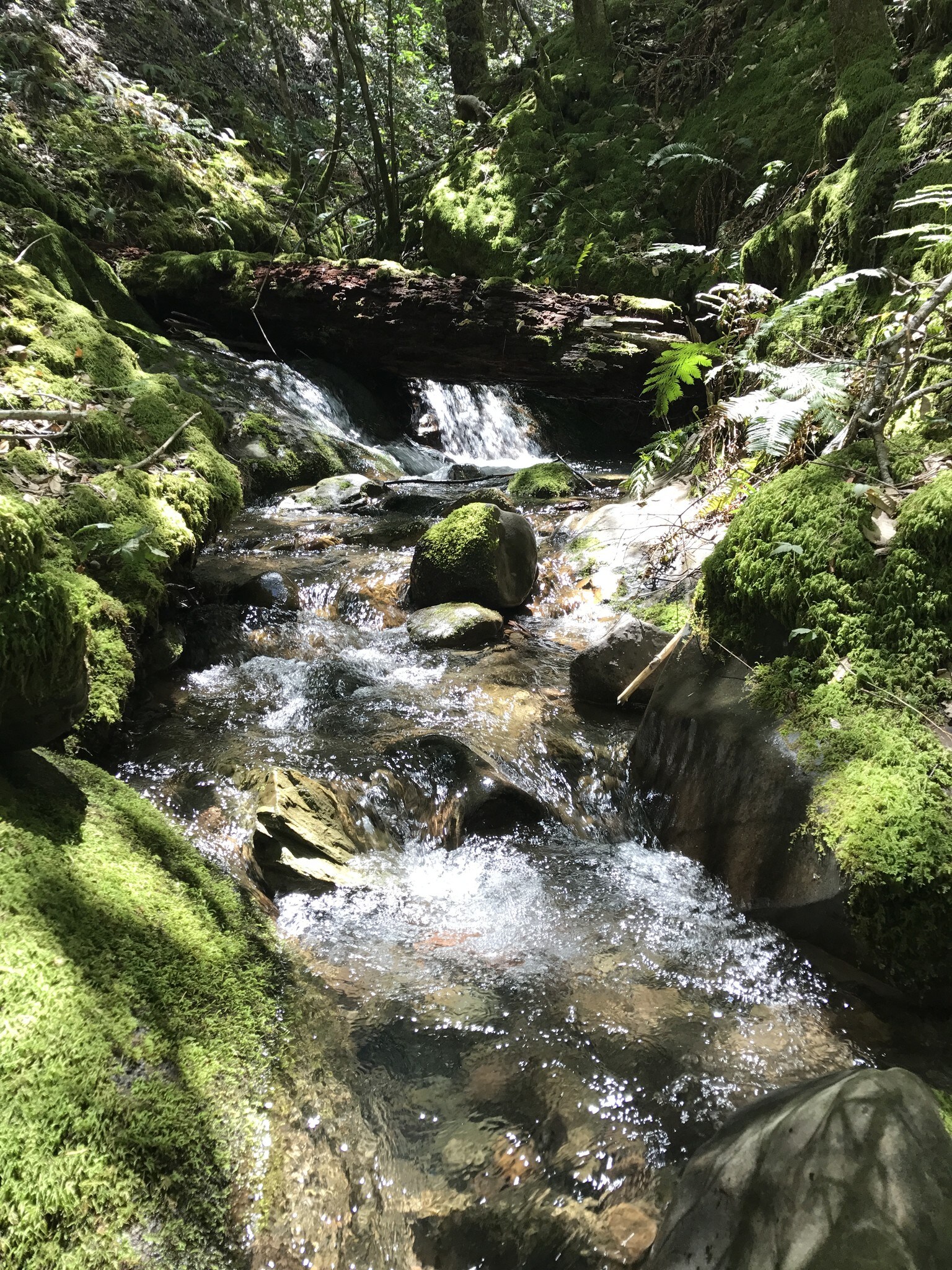 49690 Highway 101, Laytonville, CA for Sale