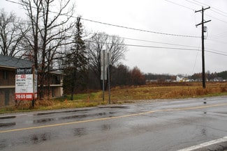 Linden, MI Commercial Land - Silver Lake Rd