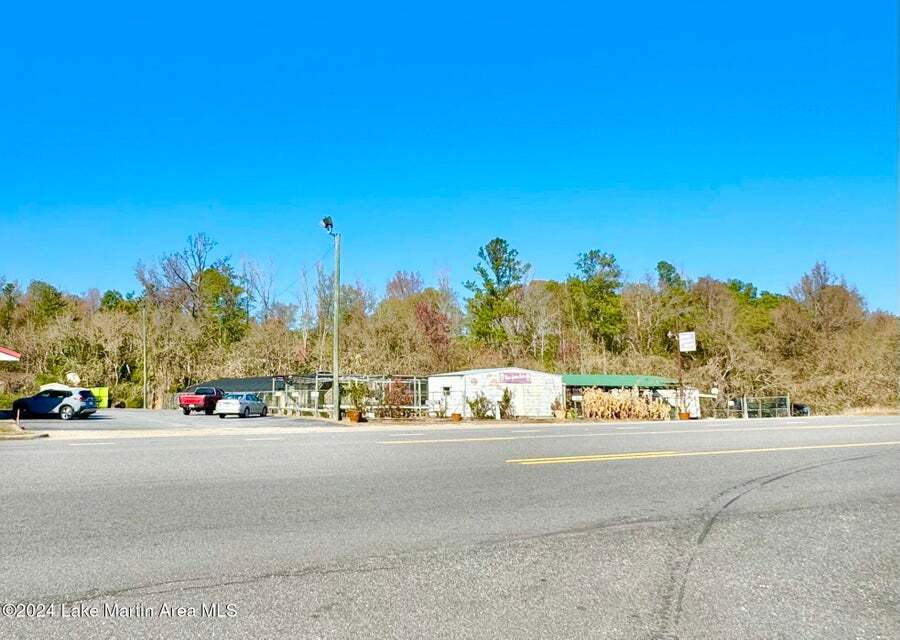 1217 Tallapoosa St, Alexander City, AL for Sale