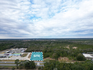 Creola, AL Commercial Land - 10033 Highway 43