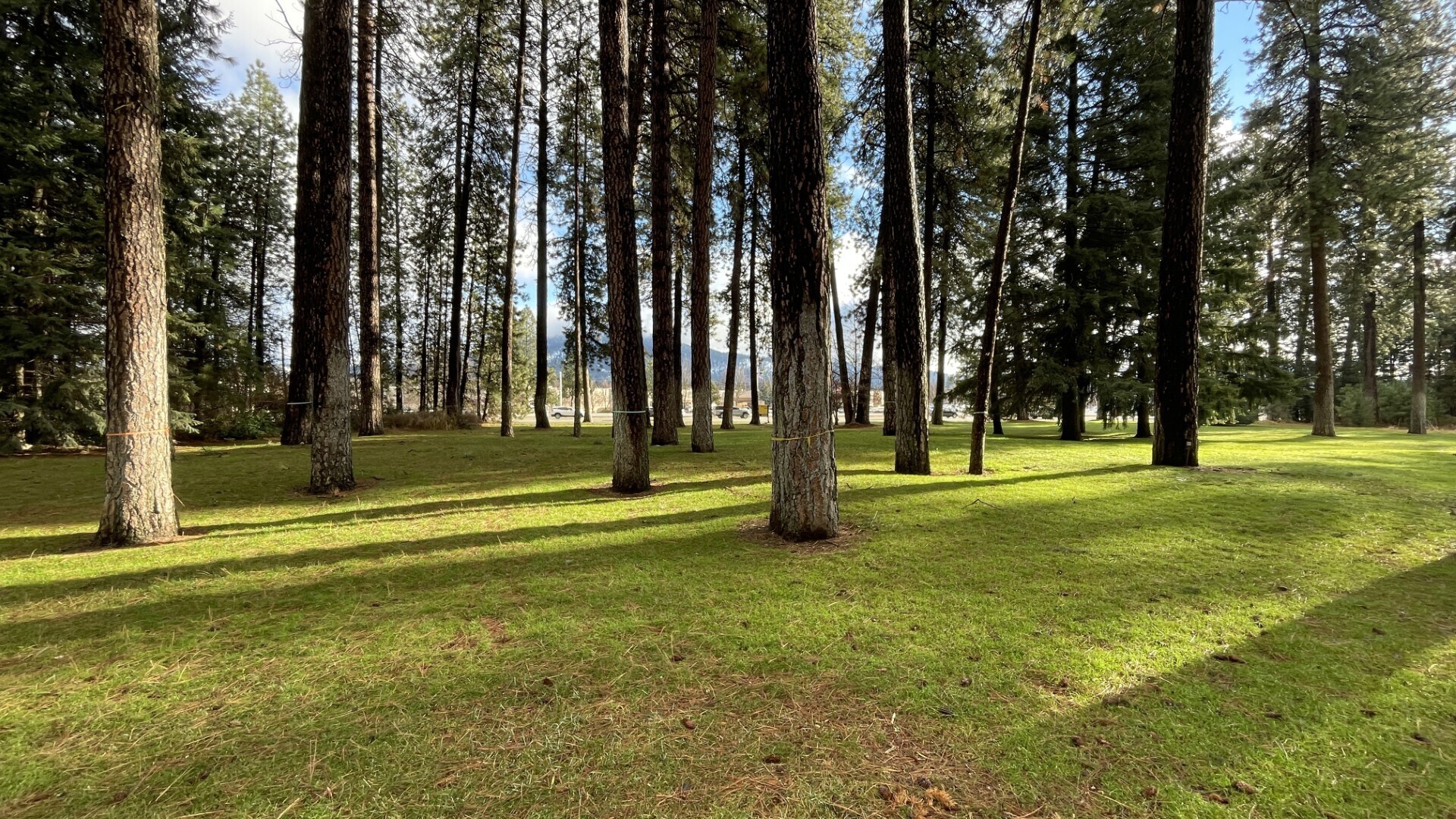 NNA Mineral Dr, Coeur d'Alene, ID for Sale