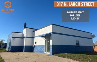 Lansing, MI Industrial - 317 N Larch St