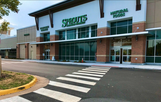Herndon, VA Retail - 494 Elden St