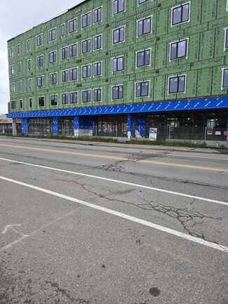 Buffalo, NY Office/Retail - 448 South Park Ave
