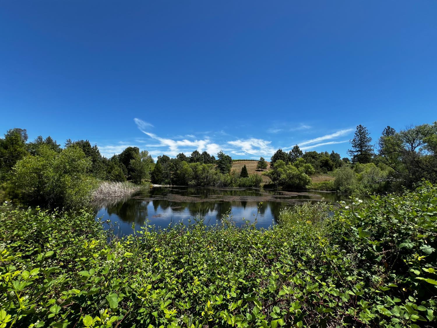 7300 Fairplay Rd, Somerset, CA for Sale