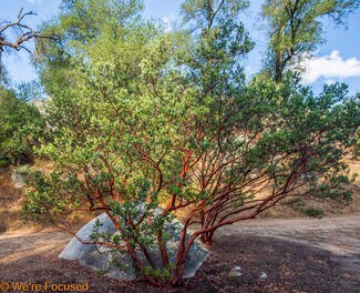 Banning, CA Residential Land - Cryer