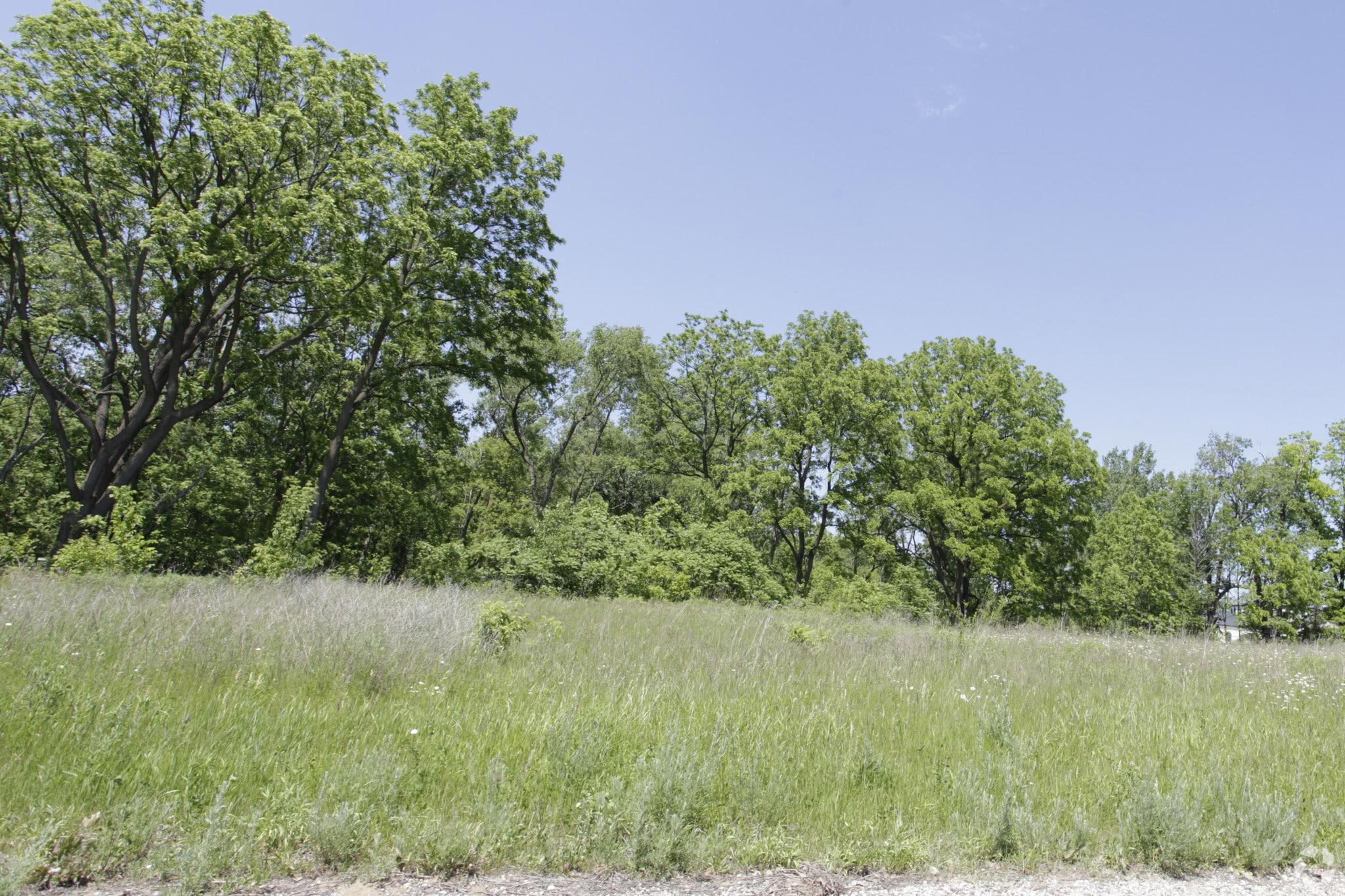 2318 East Paris Ave SE, Grand Rapids, MI for Sale