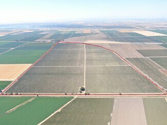 Clarksburg, CA Agricultural Land - 48450 W Sutter Rd