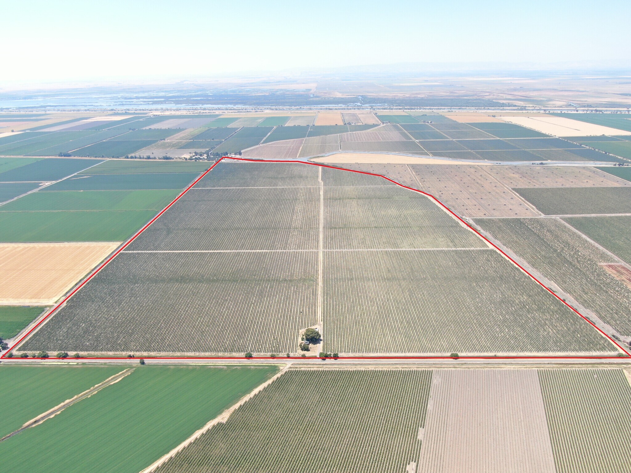 48450 W Sutter Rd, Clarksburg, CA for Sale