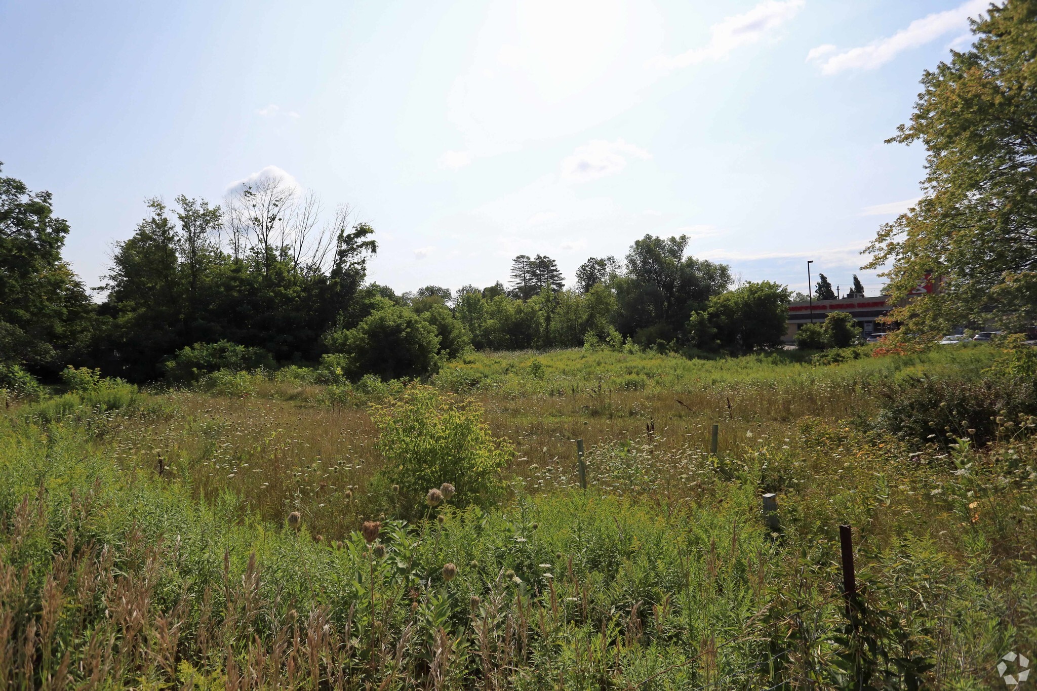 20927 Dalton Rd, Georgina, ON for Sale