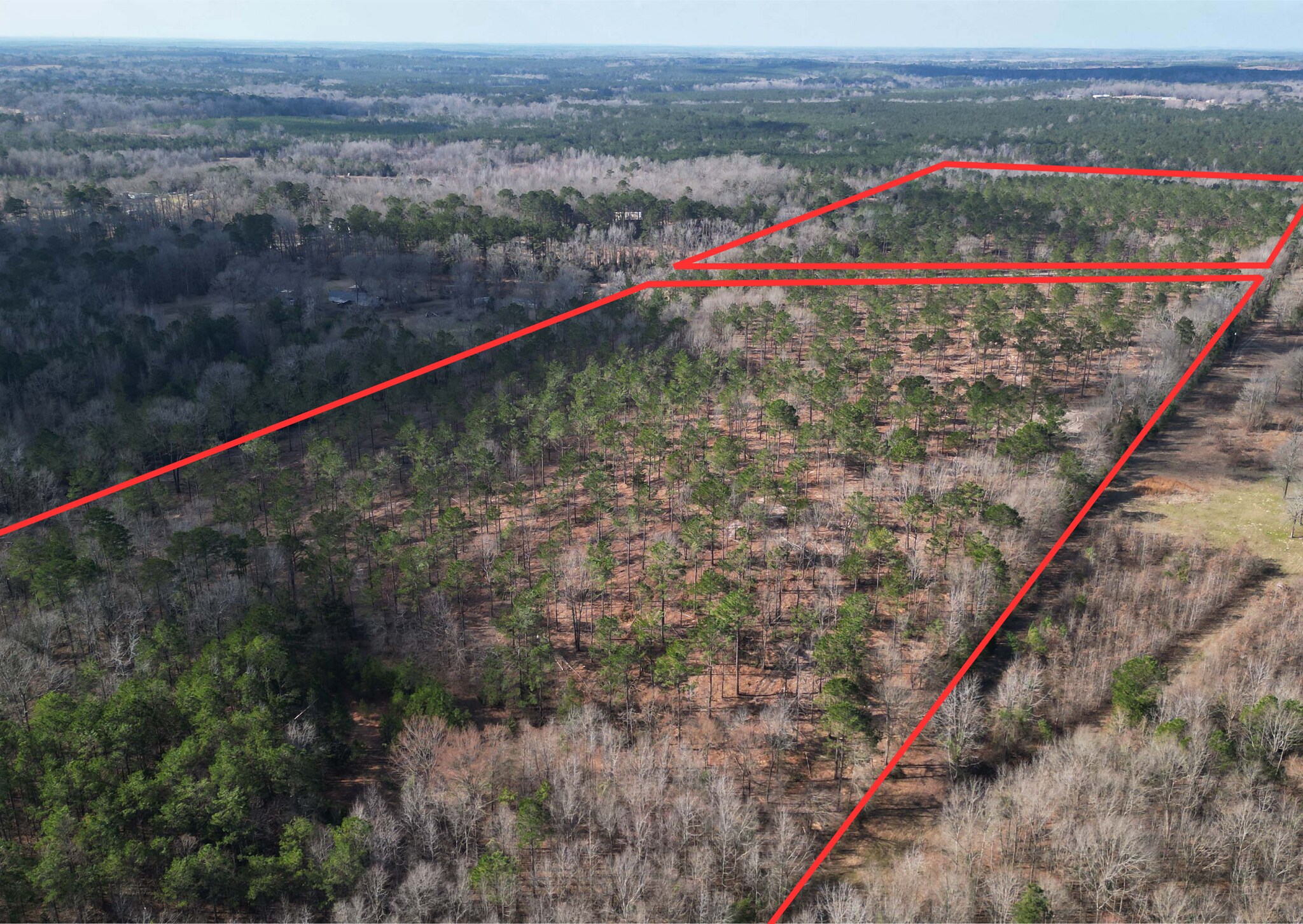 TBD CR 3665, Queen City, TX for Sale