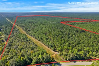 Walnut Hill, FL Residential Land - 0 Nokomis Road