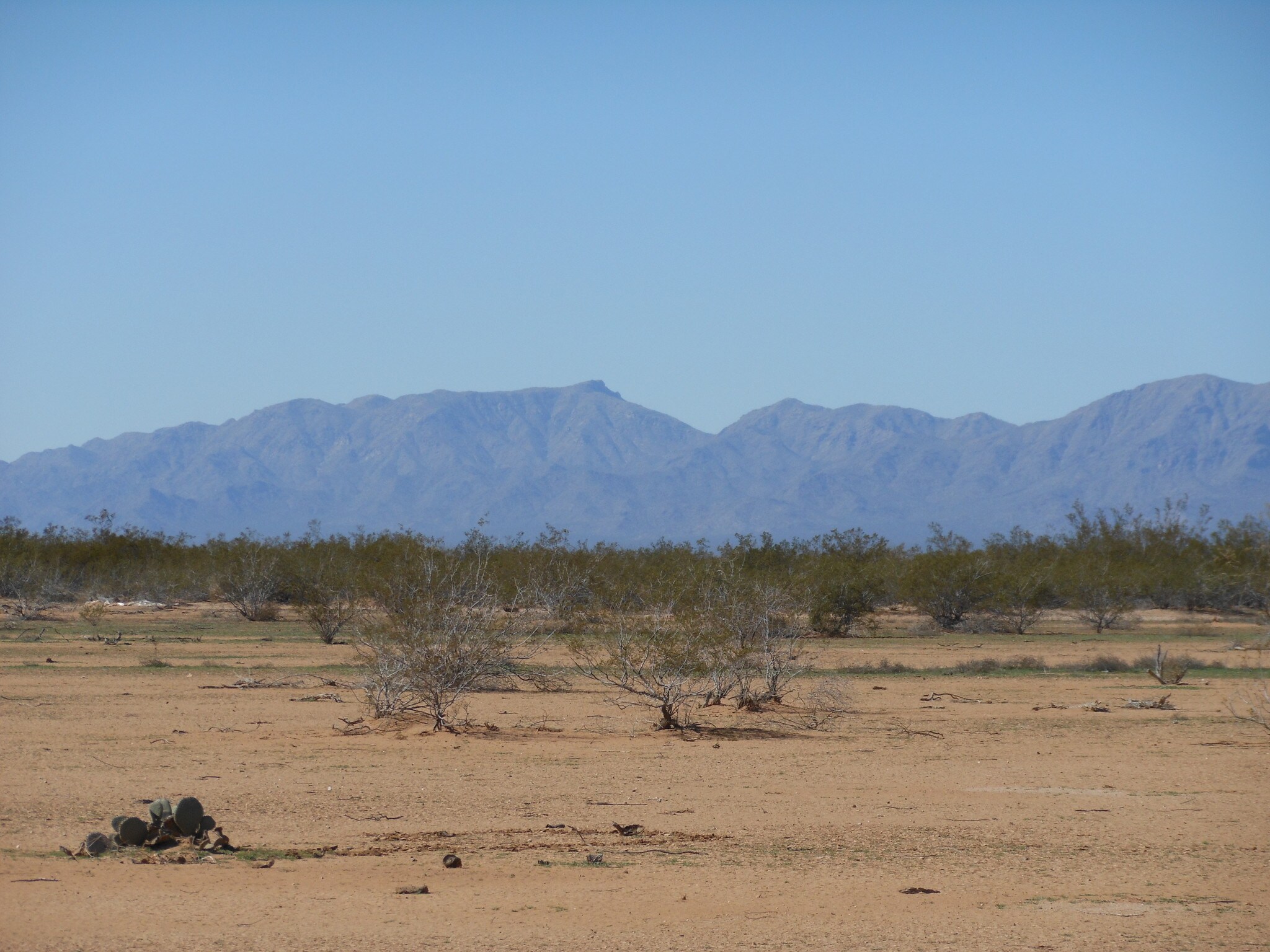 US 60 & SR 71, Aguila, AZ for Sale