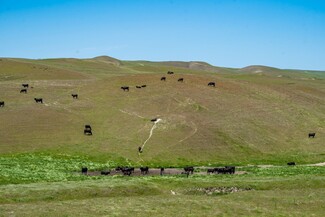 Shandon, CA Agricultural - 8050 Bitterwater Rd