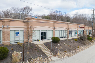 Pittsburgh, PA Retail - 4850 McKnight Rd