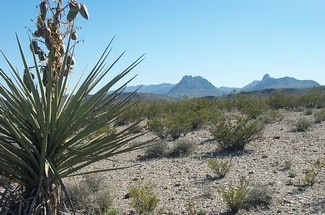 Terlingua, TX Residential - 20 Acres In Brewster County Tx