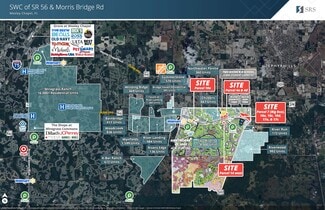 Thonotosassa, FL Commercial Land - 15810 Morris Bridge Rd
