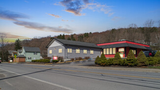 Oneonta, NY Veterinarian/Kennel - 525 Main St