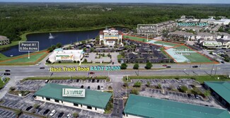 Tampa, FL Residential - 12898 Race Track Rd