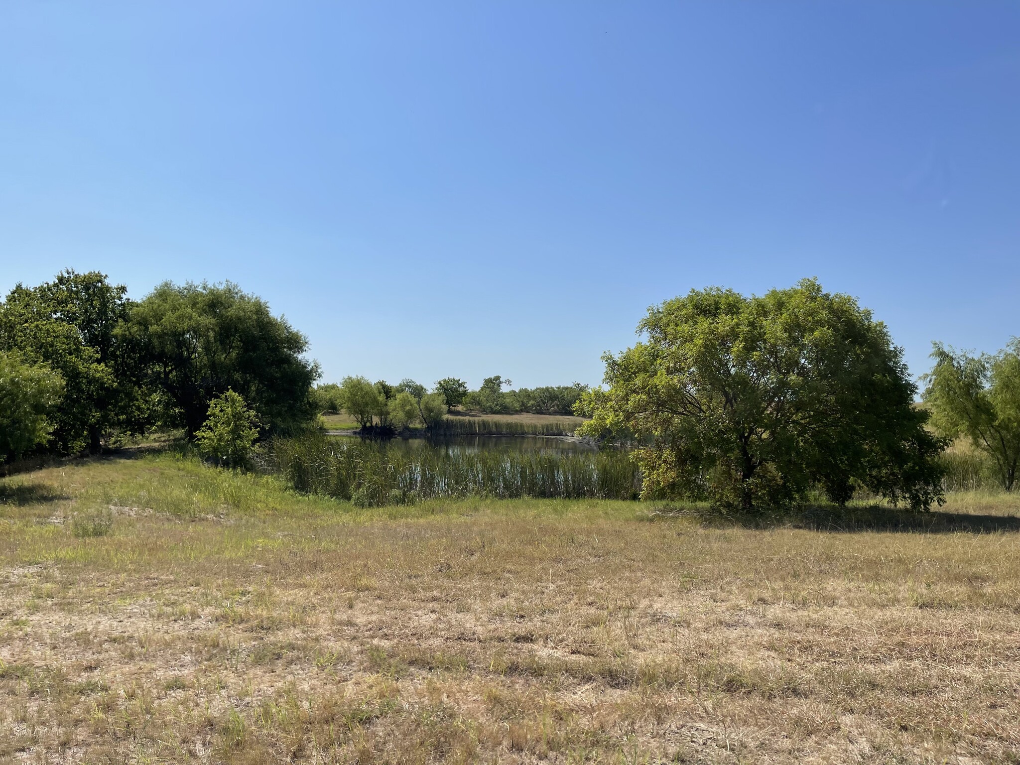 6909 Wolf Lane, Del Valle, TX for Sale