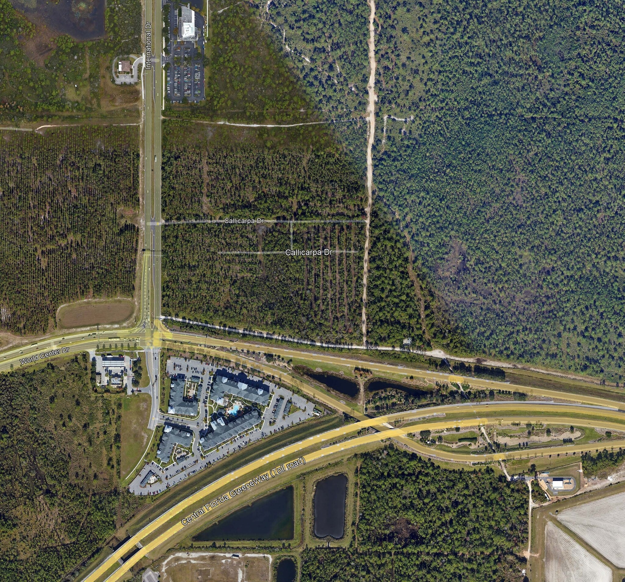 NEC International Drive & World Center Dr, Orlando, FL for Rent