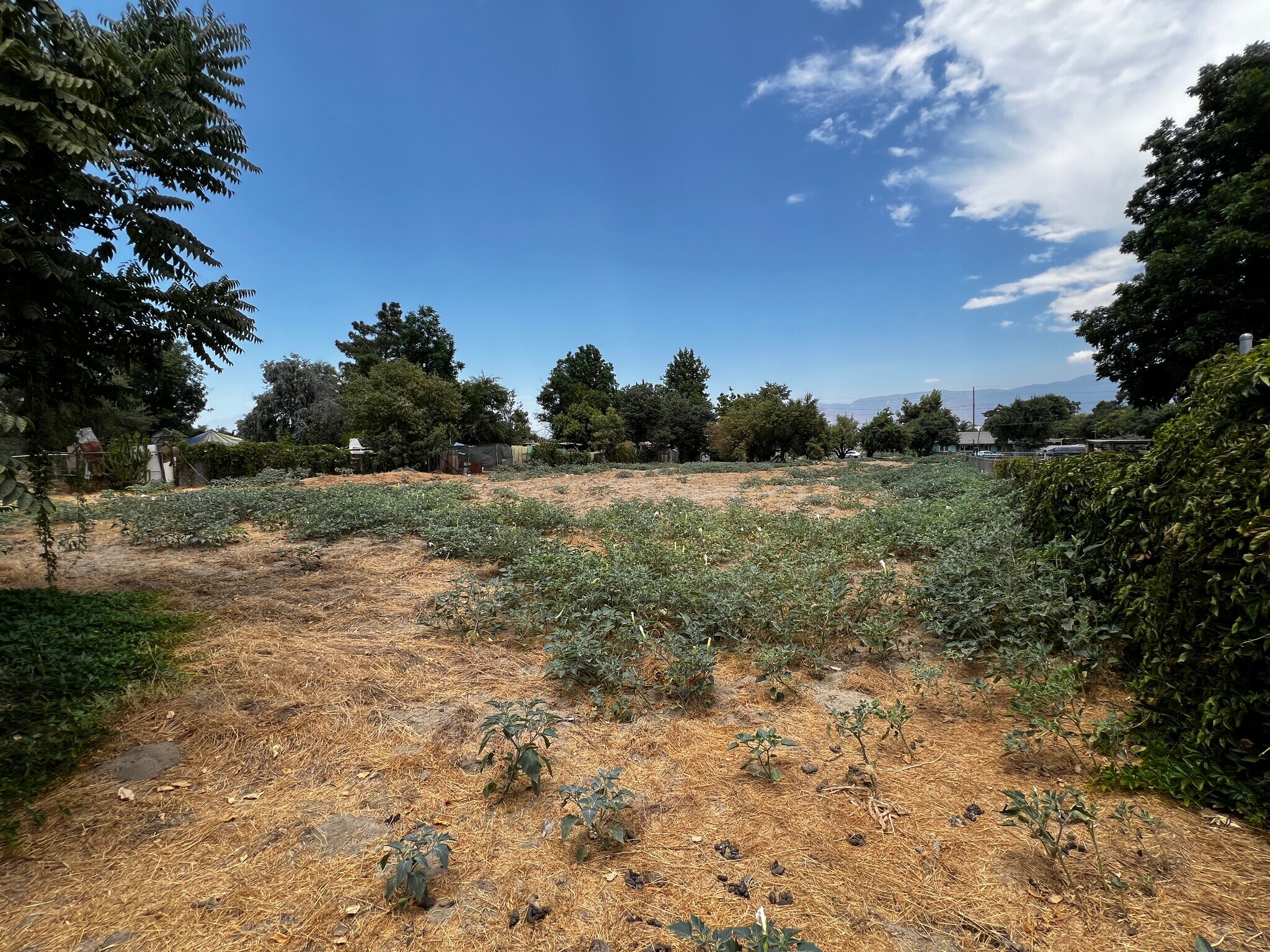 0 San Jacinto Street, San Bernardino, CA for Sale