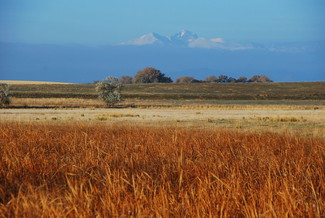 Fort Collins, CO Commercial Land - 6825 S County Road 5