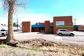 Lakewood, CO undefined - 1550 Dover St
