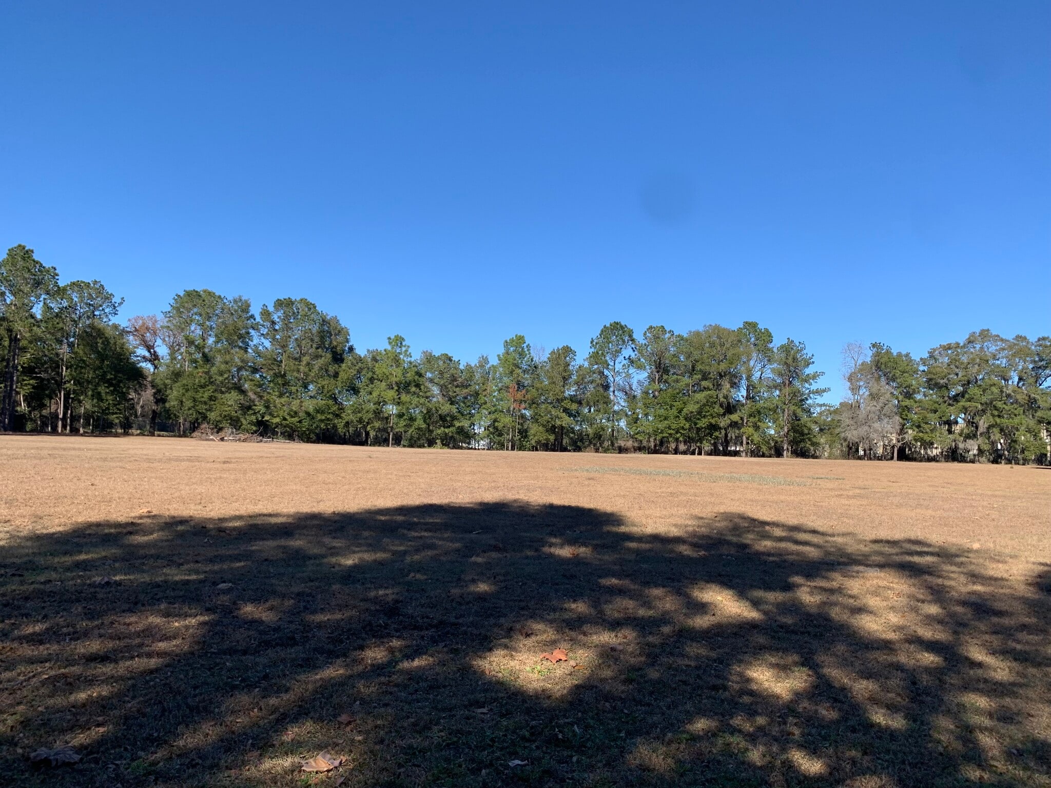1751 SW 54th Ct, Ocala, FL for Sale