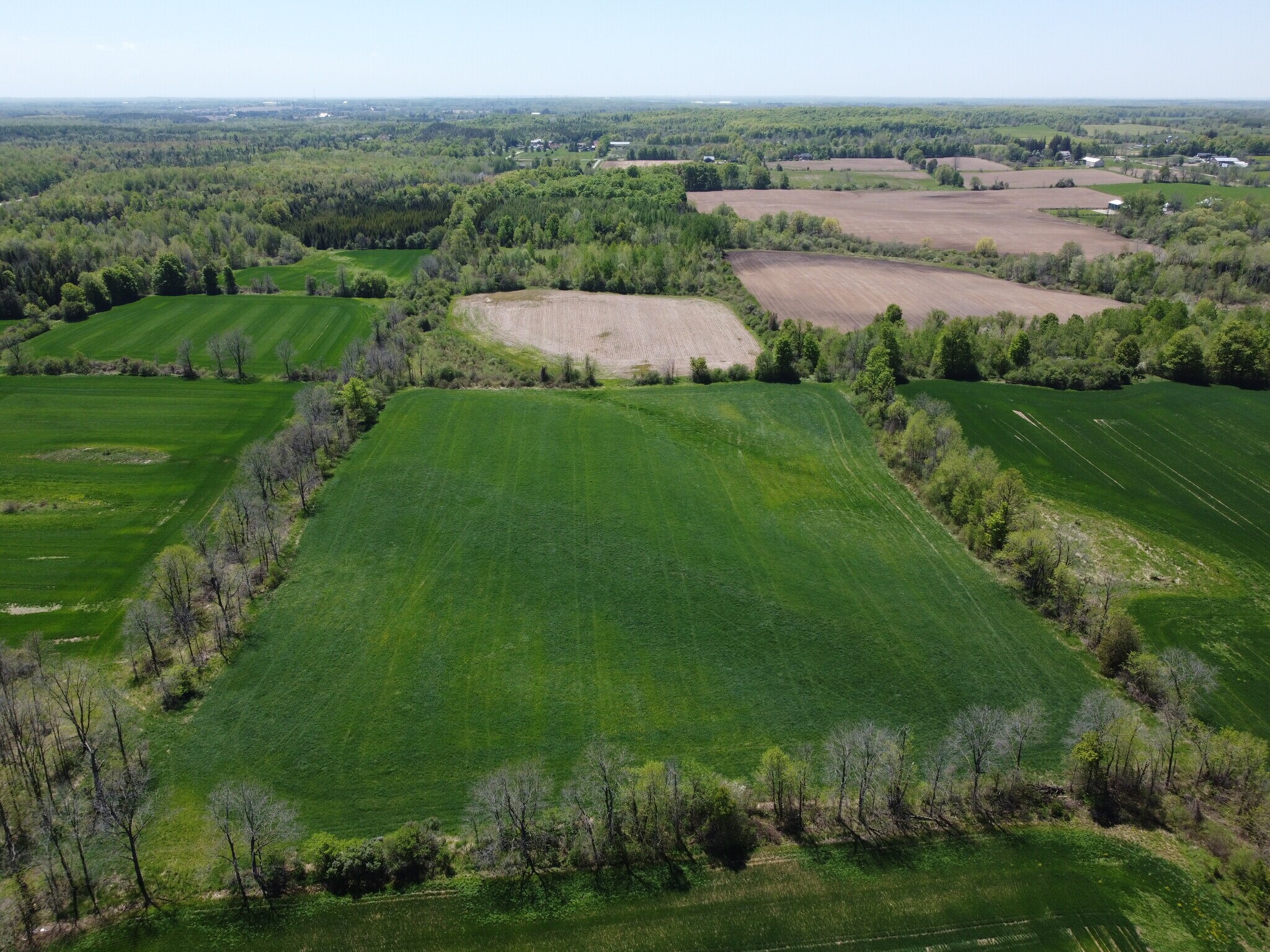 11080 First Nass Line, Milton, ON for Sale