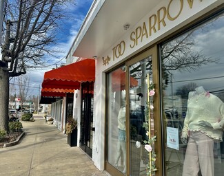 Old Greenwich, CT Retail - 202 Sound Beach Ave