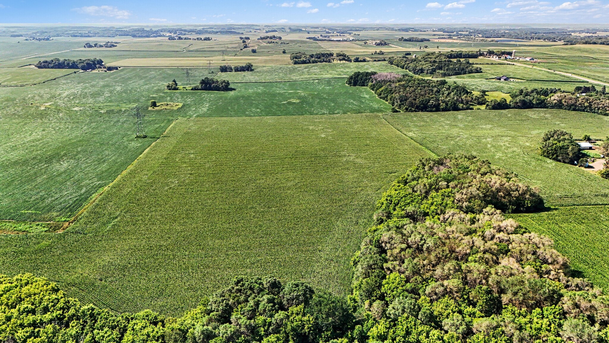 TBD TBD 50th S st, Afton, MN for Sale