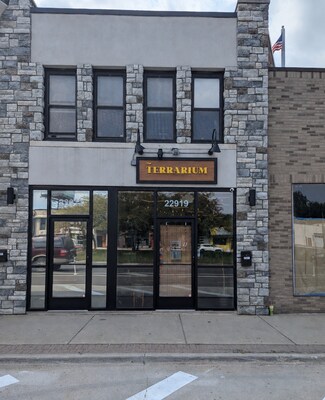 Ferndale, MI undefined - 22917-22919 Woodward Ave Ferndale, MI undefined - 22917-22919 Woodward Ave