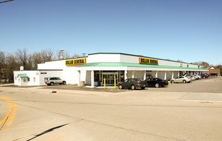 Wickliffe, OH Retail - 29215-29239 Euclid Ave