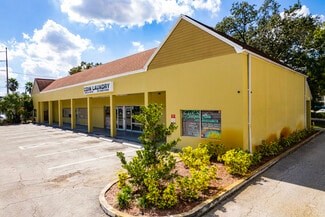 Tampa, FL Office, Retail - 13106 N Florida Ave