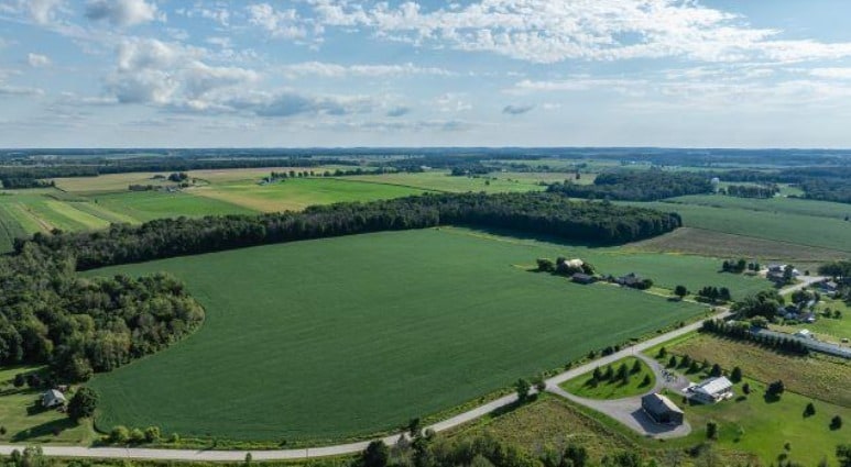 238 Forler St, Neustadt, ON for Sale