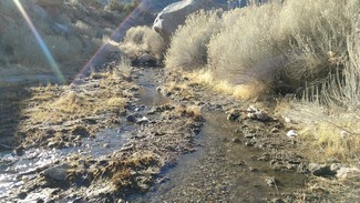 Weldon, CA Agricultural - Kelso Valley Rd