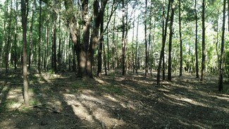 Pooler, GA Industrial Land - 116 Sharon Ct