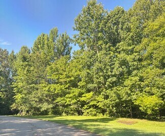 Danville, VA Residential - Jenny Lane 46 Acre Tract