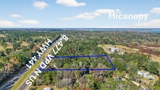 Micanopy, FL Commercial - 21121 Highway 441 N