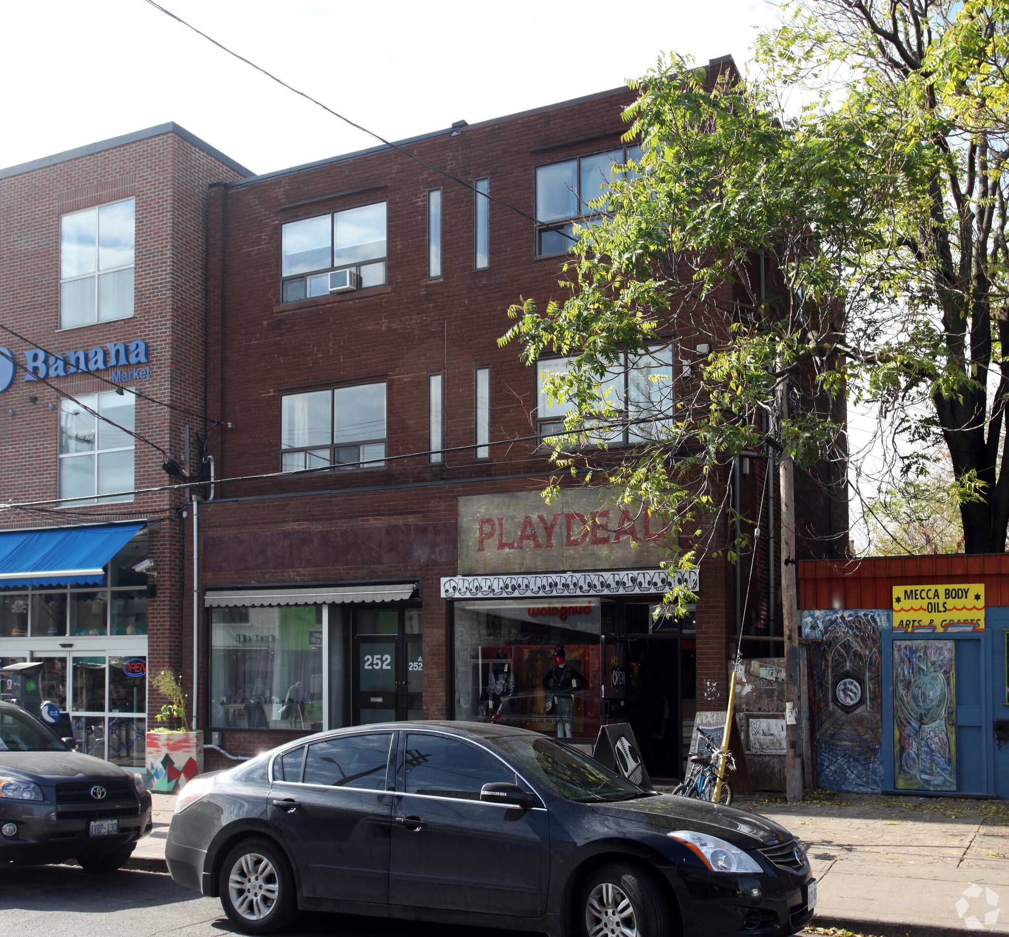 252-254 Augusta Ave, Toronto, ON for Rent
