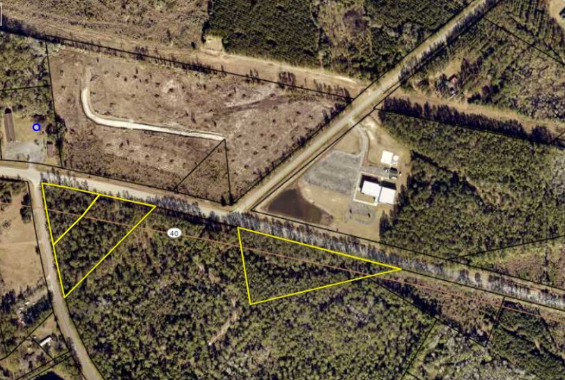 155 Dowling Drive, Kingsland, GA for Sale